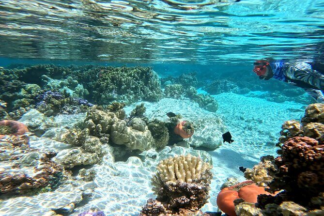 Tahaa Excursion in Electric Paddle Snorkeling Coral Garden - The Experience in Detail