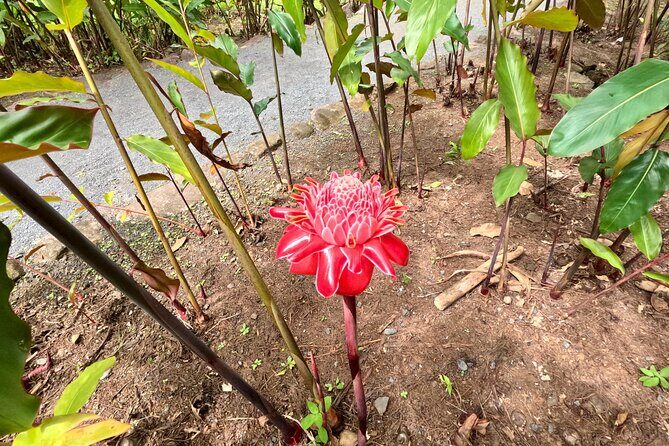Taha'a Island or Raiatea Boat Tour - The Sum Up