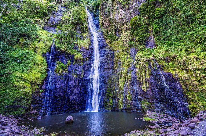 Tahiti 4x4 Mountain Safari Private Shore Tour 4 Hours - Frequently Asked Questions