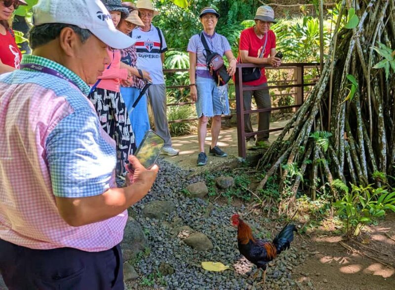 Tahiti Classical Coastal Full Day Private Tour - An In-Depth Look at the Tour