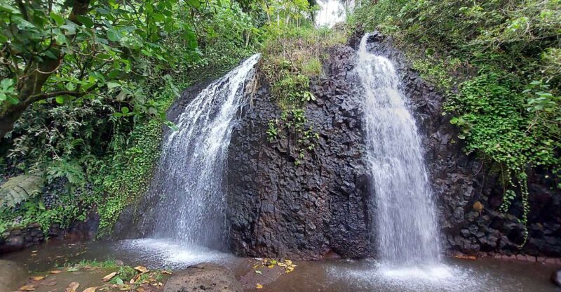 Tahiti Classical Coastal Full Day Private Tour - A Deep Dive into the Tahiti Coastal Experience