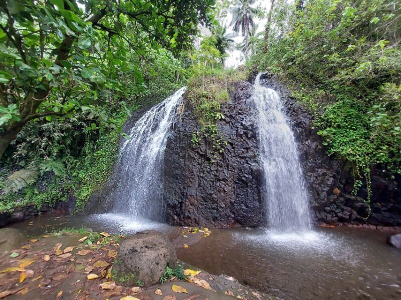 Tahiti Classical Coastal Full Day Private Tour - Who Will Love This Tour?