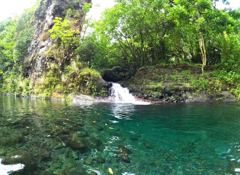 Tahiti E-bike, mtb, vtt Tour with Swimming and Lunch - Authenticity and Value