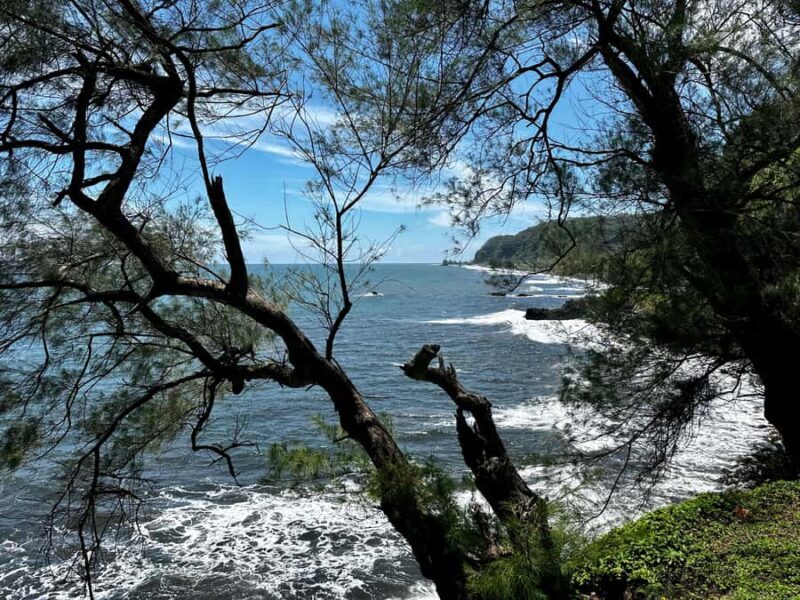 Tahiti: East or West coast tour (Half Day) - Exploring the East Coast: Wilderness and Waterfalls