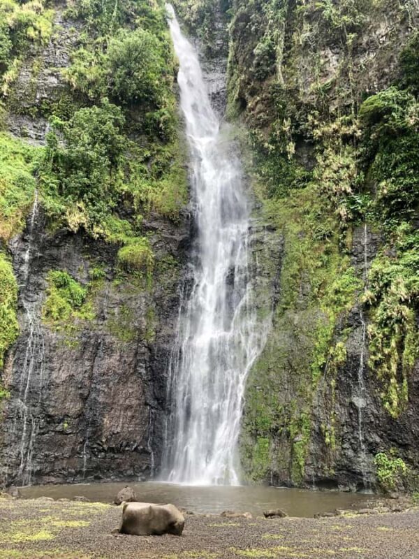 Tahiti: East or West coast tour (Half Day) - The Practical Details