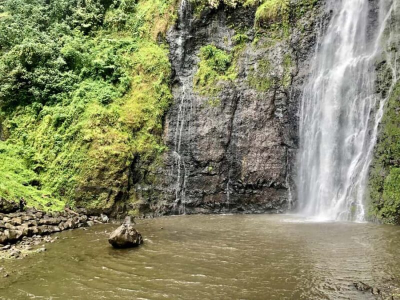 Tahiti: East or West coast tour (Half Day) - Who Should Consider This Tour?