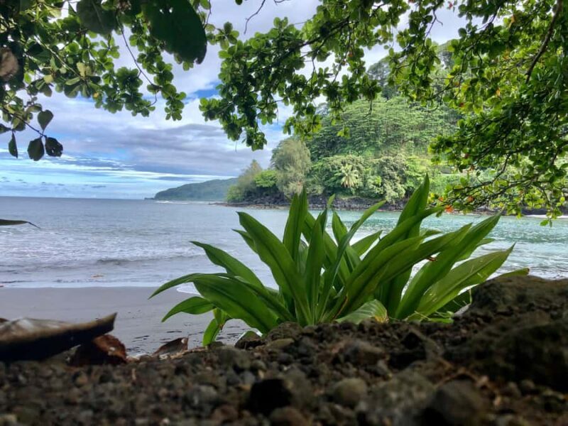 Tahiti: East or West coast tour (Half Day) - FAQs