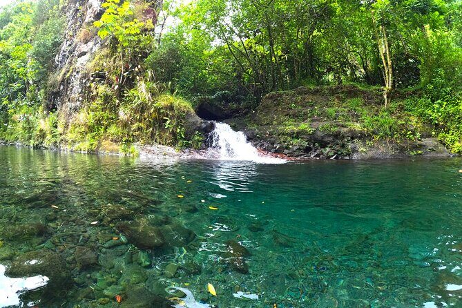 Tahiti excursion adventure circuit MTB MTB E-Bike private valley - Price and Value