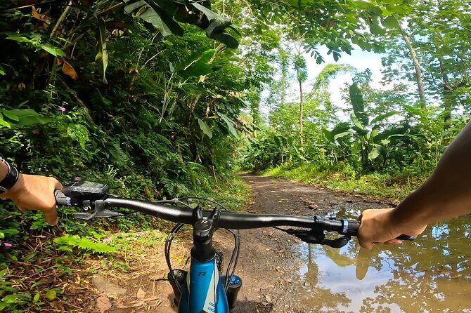 Tahiti excursion adventure circuit MTB MTB E-Bike private valley - Who Will Love This Tour?