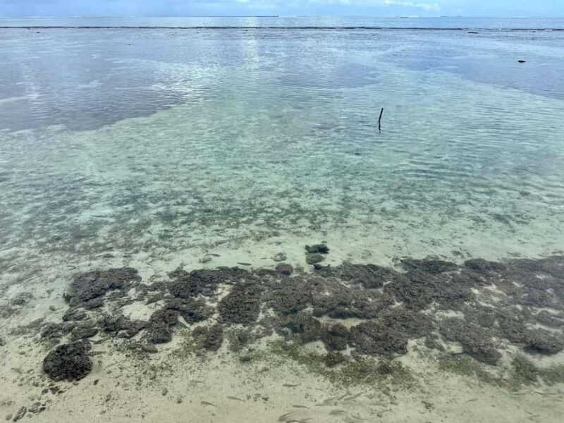 Tahiti: Full Day island tour with private jet flight (Cessna, Piper) - Practical Details and What to Expect