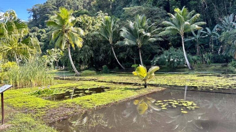 Tahiti: Full Day island tour with private jet flight (Cessna, Piper) - What Makes This Tour Stand Out?