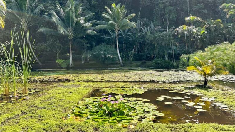 Tahiti: Full Day island tour with private jet flight (Cessna, Piper) - Considerations and Limitations