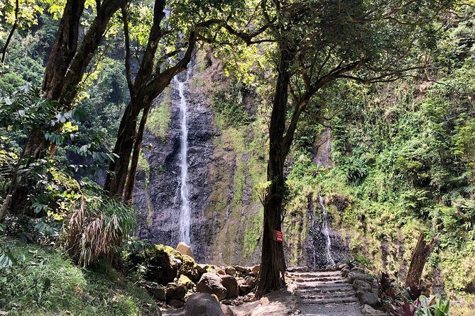 Tahiti: Full Day Tour of the Island - Who is This Tour Best For?