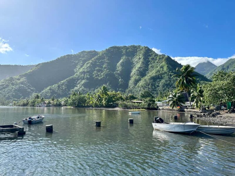 Tahiti: Full-day tour with picnic on the peninsula - Final Thoughts