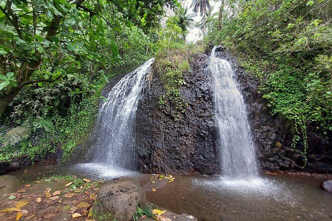 Tahiti Half Day Coastal Private Tour - Comprehensive Review of the Tahiti Half Day Coastal Private Tour