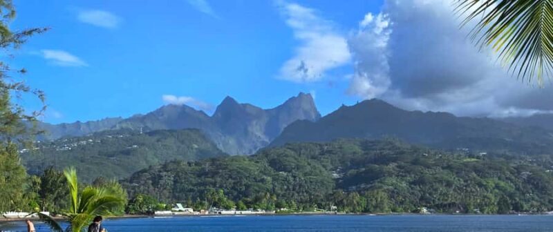 Tahiti Half Day Small Group Circle Tour - Waterfalls & Caves - What Do Travelers Say?