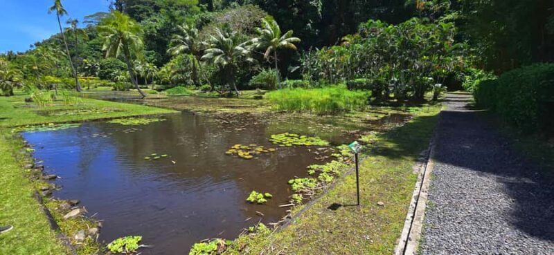 Tahiti Half Day Small Group Circle Tour - Waterfalls & Caves - FAQs