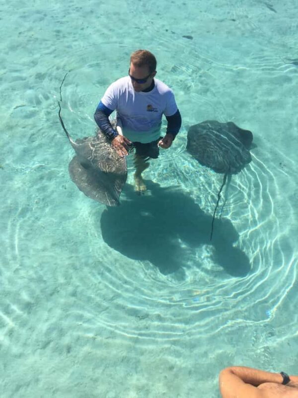 Tahiti island: 4 hours Snorkeling Tour - The Itinerary: What to Expect on Your Day Out