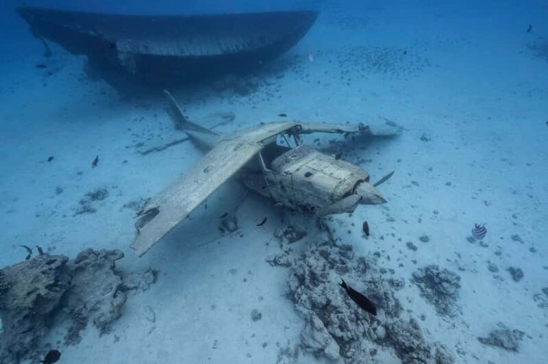 Tahiti island: 4 hours Snorkeling Tour - Practical Details: Timing, Group Size, and Cost