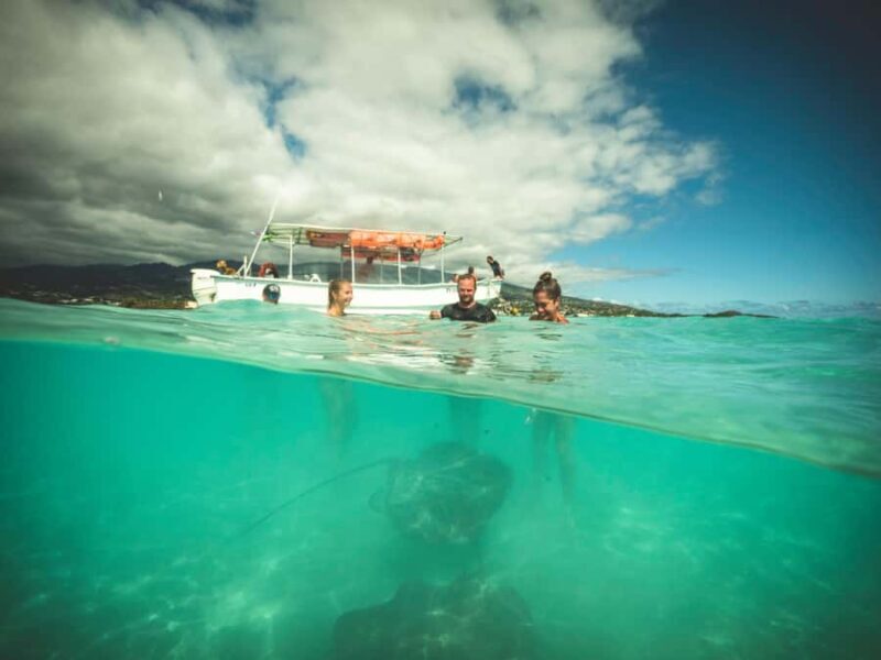 Tahiti island: 4 hours Snorkeling Tour - Final Thoughts: Is It Worth It?