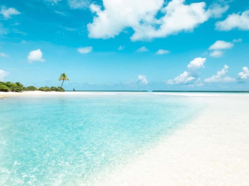 Tahiti Lagoon: 4-hour snorkeling to discover the secrets of the lagoon - FAQ