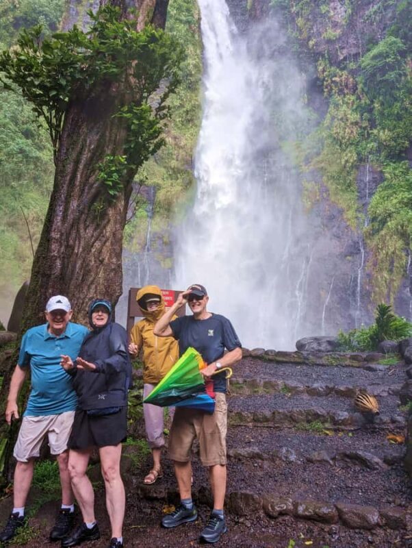 Tahiti: Northeast Coast Waterfalls&Viewpoints Half Day Tour - A Closer Look at the Tour Experience