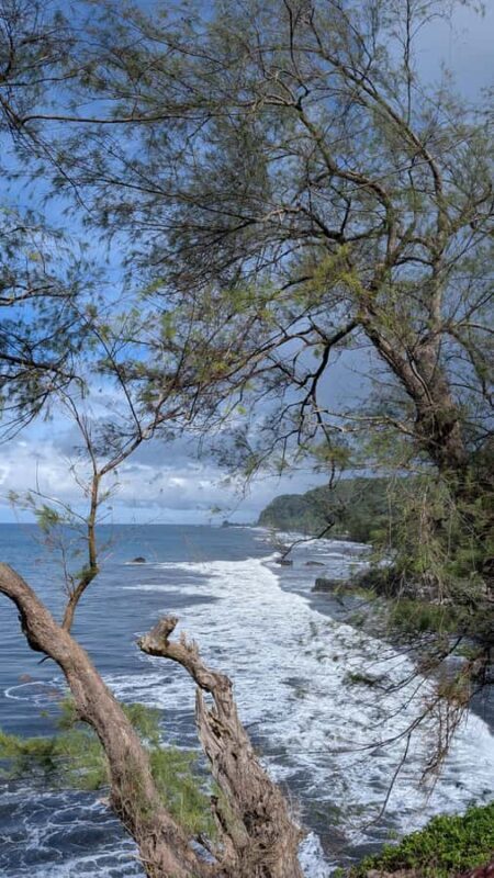 Tahiti: Northeast Coast Waterfalls&Viewpoints Half Day Tour - Final Thoughts