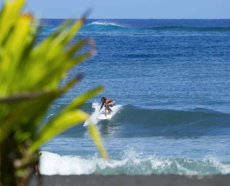 Tahiti: Private Half Day Culture and Nature Highlights Tour - A Closer Look at the Tour Itself