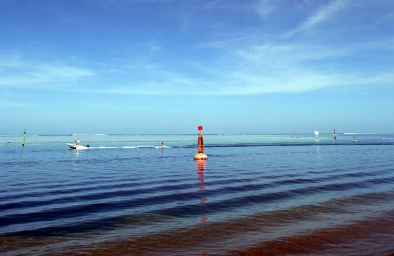 Tahiti: Private Half Day Culture and Nature Highlights Tour - Who Is This Tour Best For?
