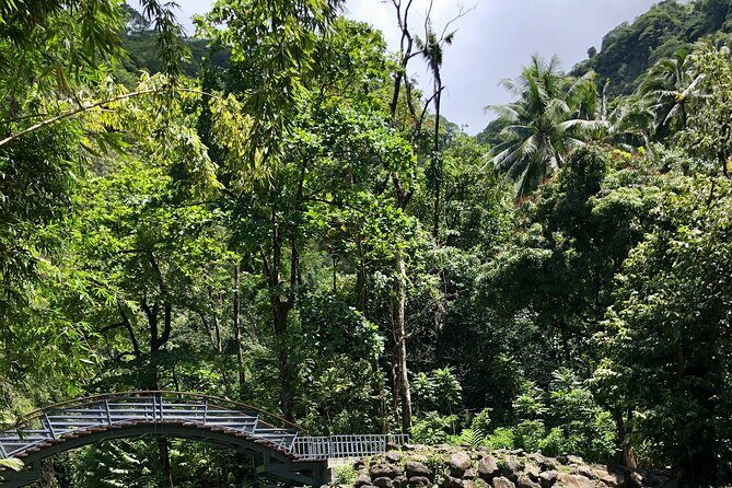 Tahiti: Tour of the East or West Coast (Half Day) - Final Thoughts: Is It Worth It?
