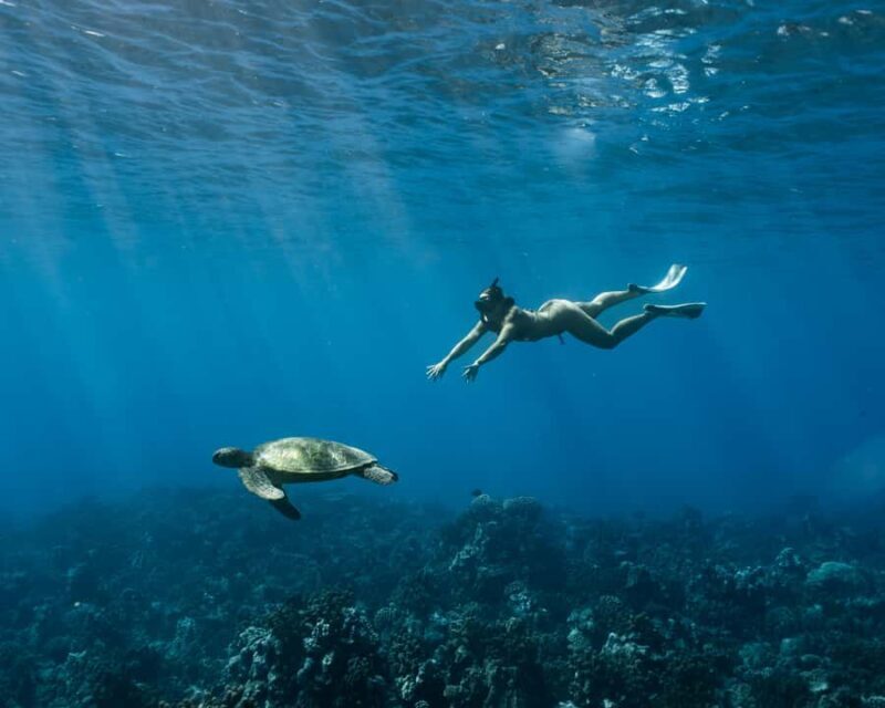 Tahiti underwater photo experience - Key Points