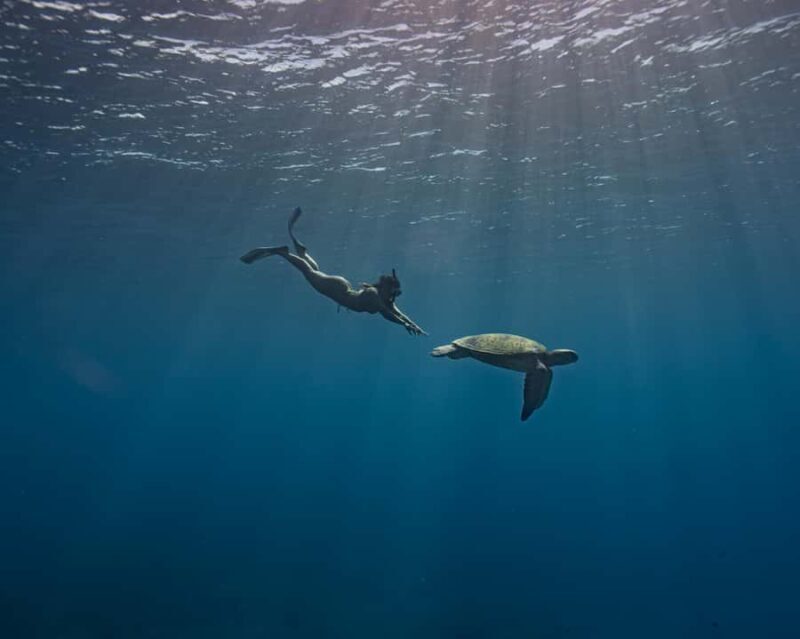 Tahiti underwater photo experience - What to Expect from the Tahiti Underwater Photo Experience