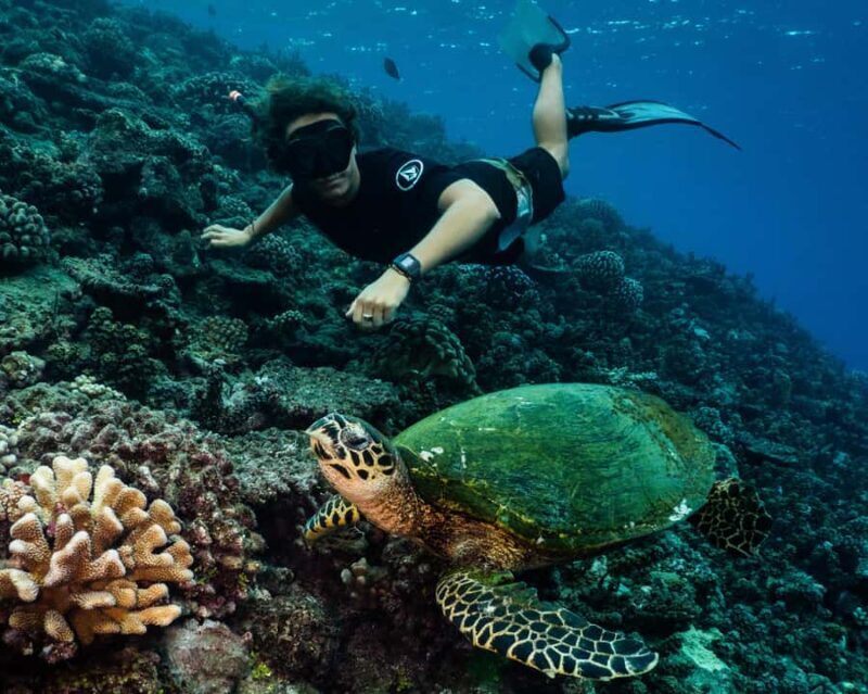 Tahiti underwater photo experience - Who Will Love This Tour?