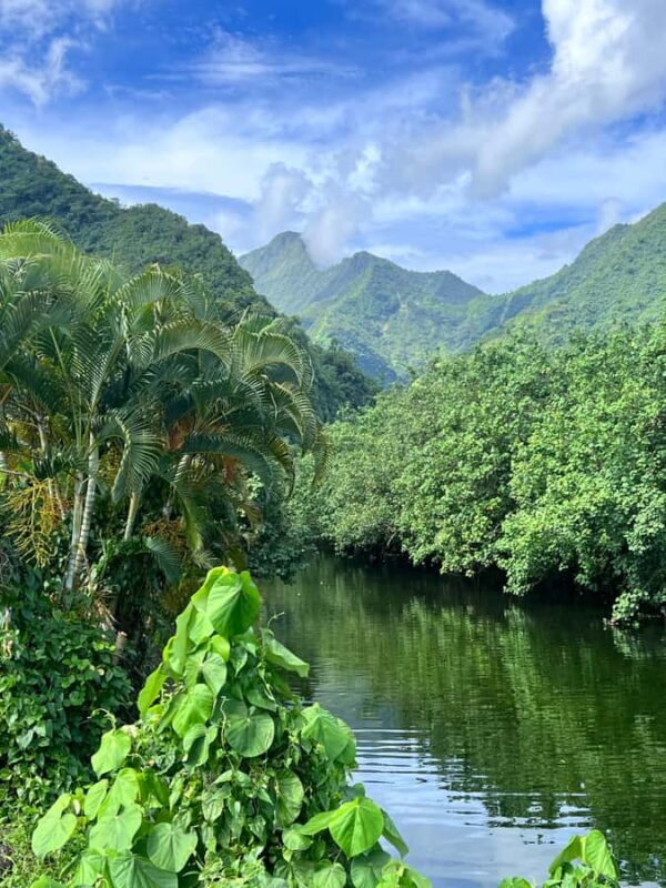 Tahiti: Unique Full Day West Coast, Combo Tour to Teahupoo - FAQs