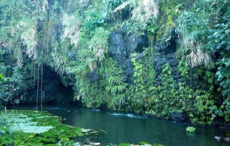 Tahiti: West and East Coast Island Tour with Waterfalls - What to Bring and Considerations