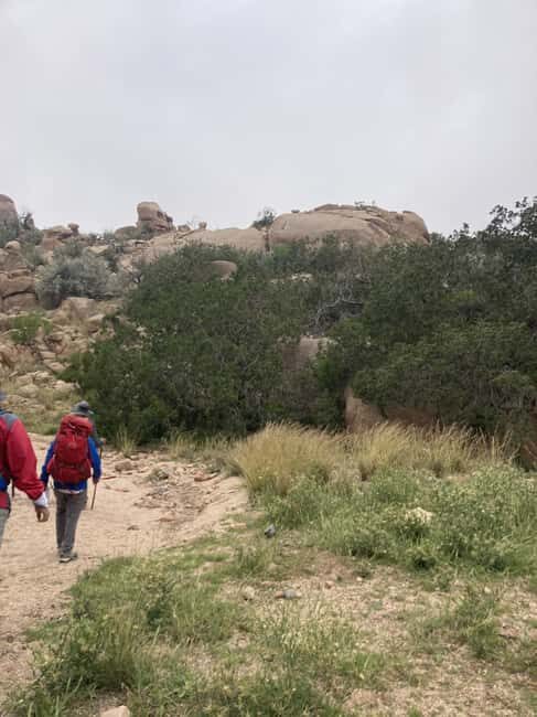 Taif: Al-Makhadah Valley Hiking Tour with Snacks - Key Points