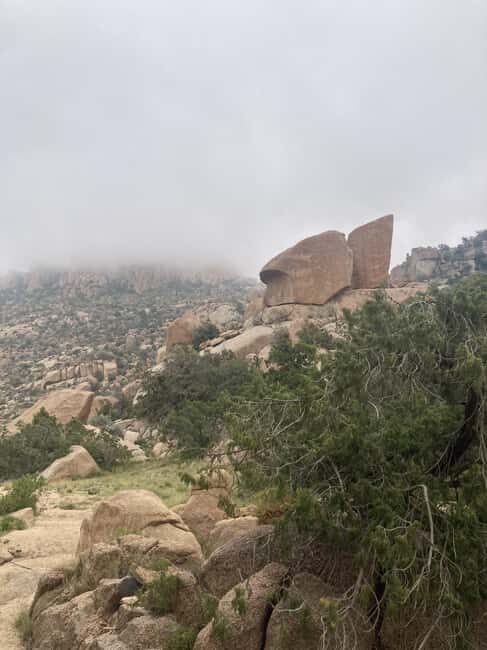 Taif: Al-Makhadah Valley Hiking Tour with Snacks - An Introduction to the Al-Makhadah Valley Hiking Experience