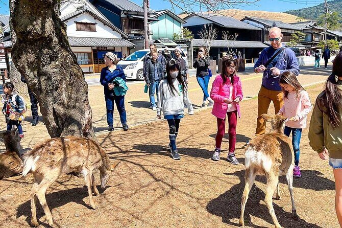 Tailor Made 13 Days Japan Family Vacation for Your Kids - A Deep Dive into the 13-Day Japan Family Tour