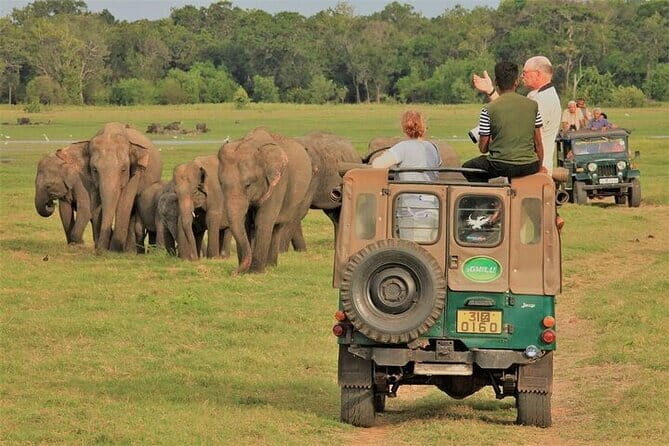 Tailor-made Multi-day Private Tour Packages in Sri Lanka - Coastal Relaxation and Beachside Bliss