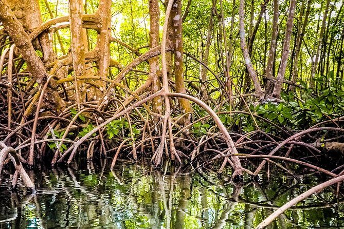 Tailor-made Private Excursions in Guadeloupe - The Sum Up