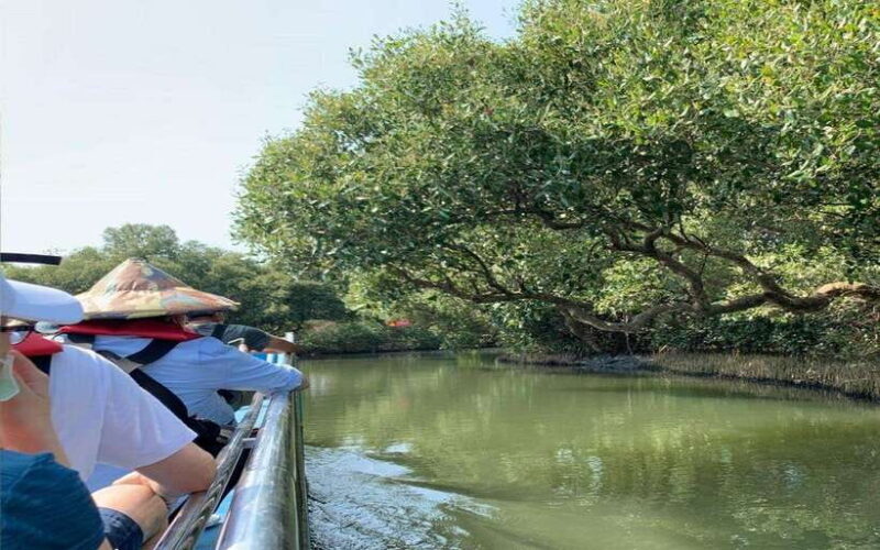 Tainan: Sicao Green Tunnel Scenic Boat Ride - Key Points