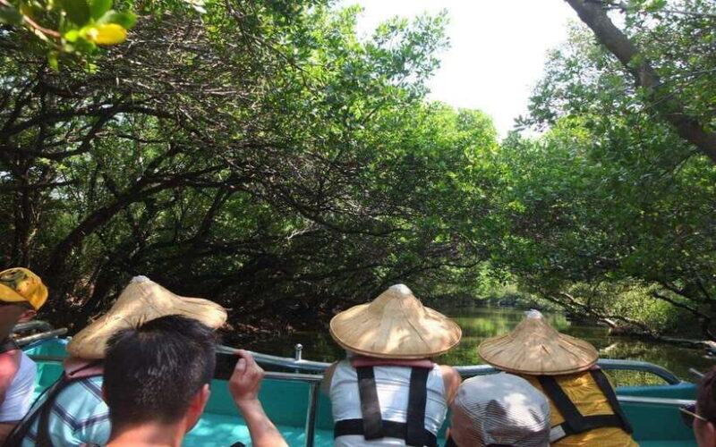 Tainan: Sicao Green Tunnel Scenic Boat Ride - Who Will Love This Experience?