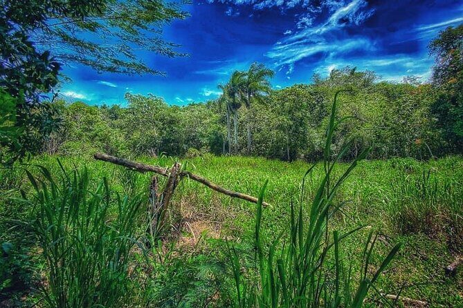 Taino Bay & amber cove 7 Damajagua Waterfall Lunch Excursion - An In-Depth Look at the Itinerary and Experience