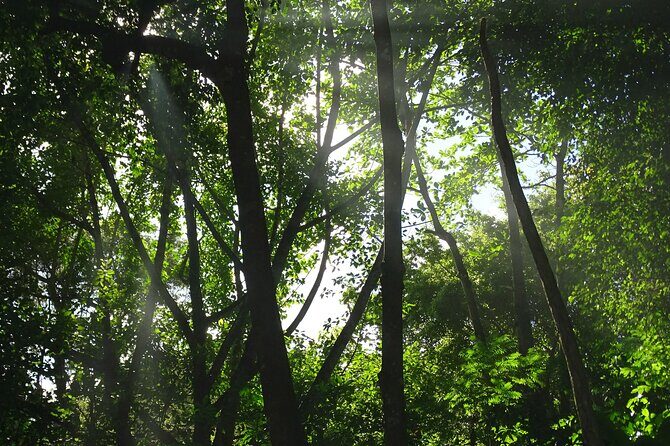 Taino Valley Tropical Park Puerto Plata Tubagua - What Makes the Taino Valley Tropical Park Tour Special?