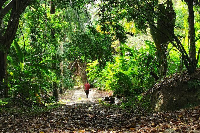 Taino Valley Tropical Park Puerto Plata Tubagua - The Sum Up: Who Should Consider This Tour?
