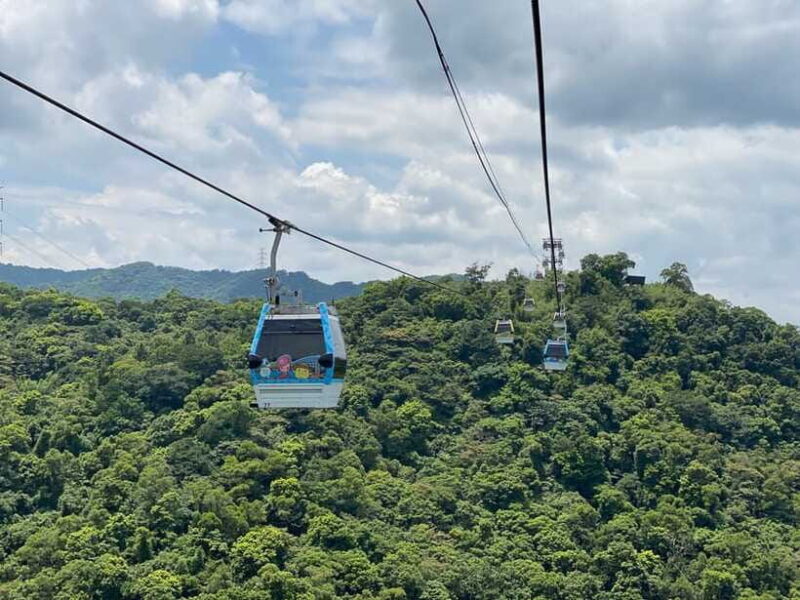 Taipei: Maokong Cable Car Ticket & Combos - Who Should Consider This Tour?