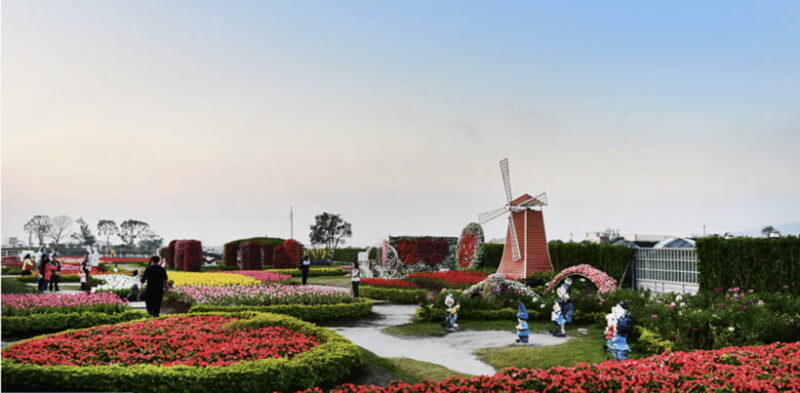Taipei-Taichung-Taipei Private day trip - The Experience of a Private Day Trip in Taiwan