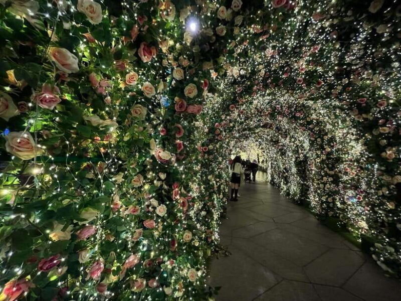 Taipei: Walking Christmas Photography and Shopping Tour - An Overview of the Tour Experience