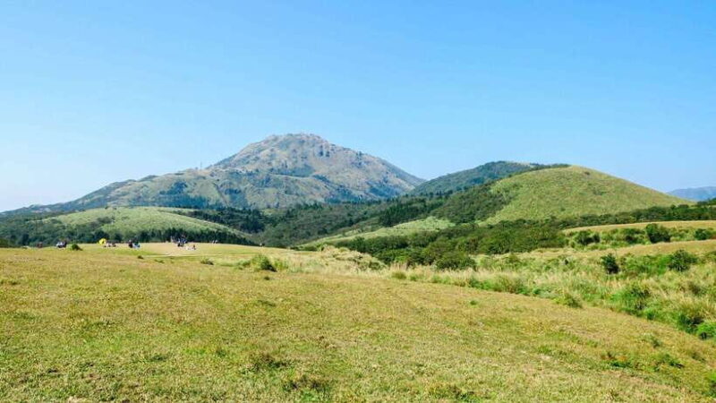 Taipei: Yangmingshan National Park Half-Day Tour - An In-Depth Look at the Tour Experience