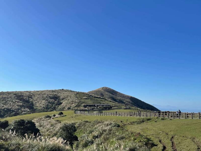 Taipei: Yanmingshan walking tour - Qingtiangang Grassland - What Makes This Tour Stand Out